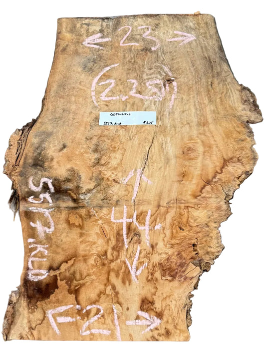 Cottonwood Live Edge Slab 5517.KLD