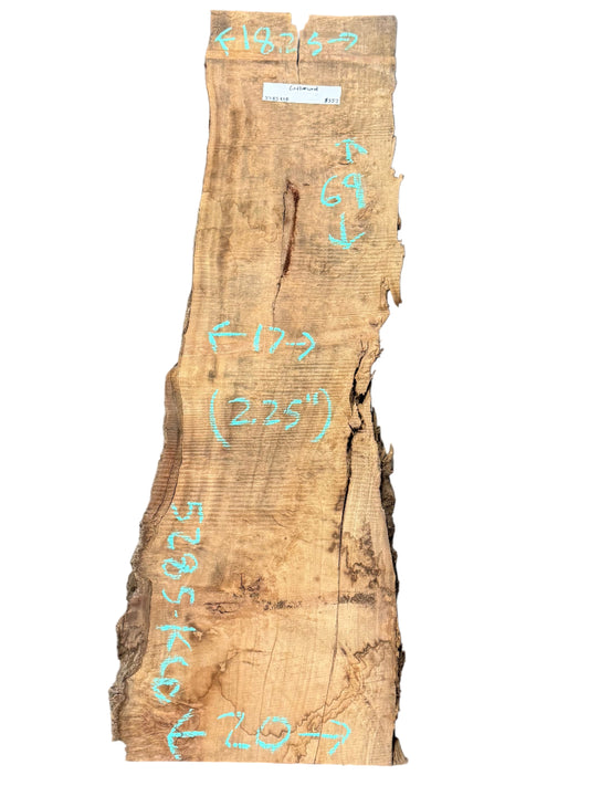 Cottonwood Live Edge Slab 5285.KLD