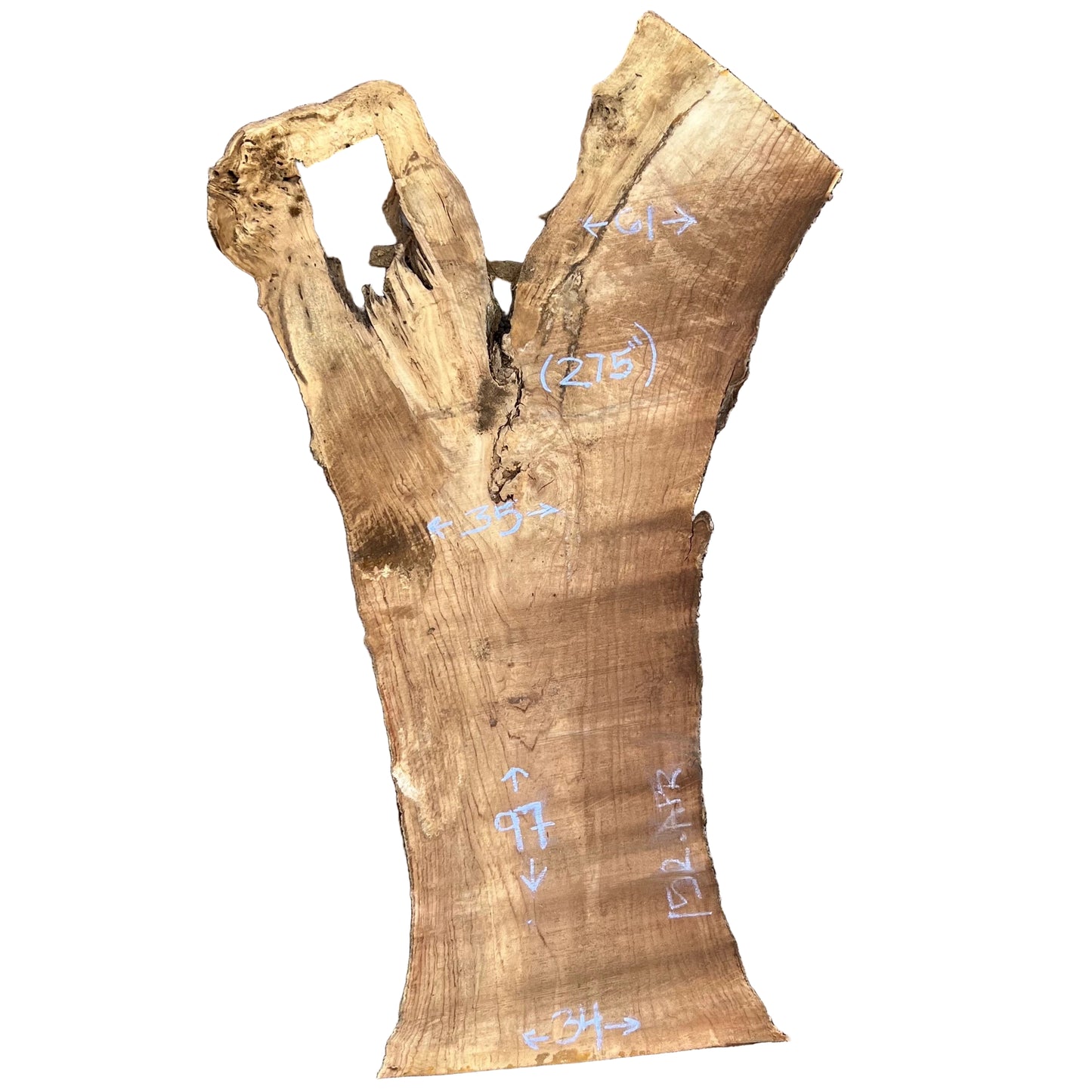 Cottonwood Live Edge Slab 152.APR