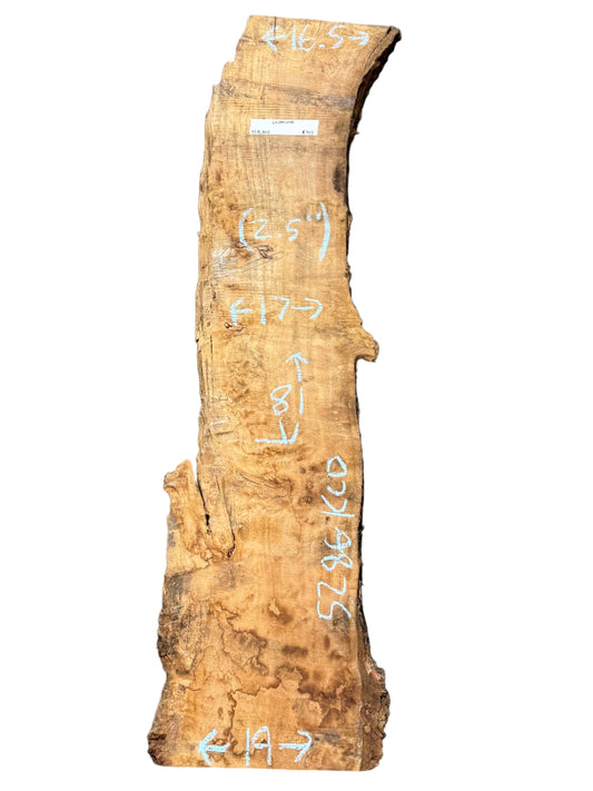 Cottonwood Live Edge Slab 5286.KLD