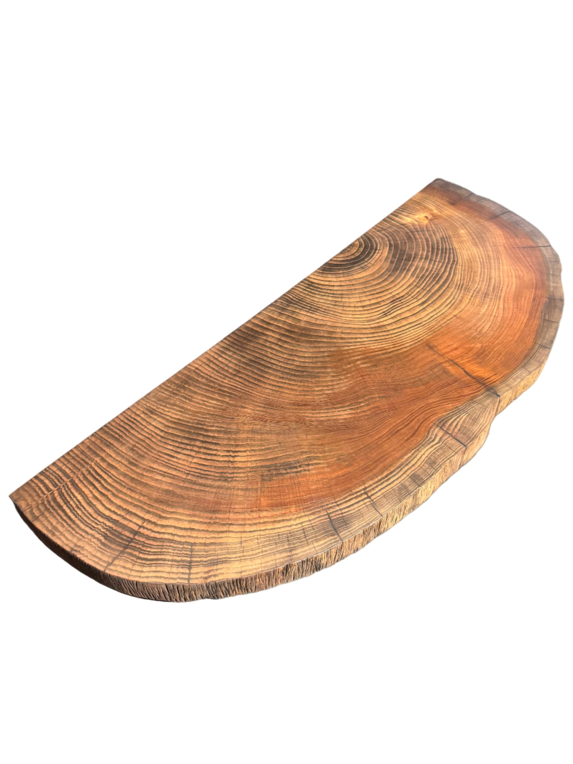 deodar cedar half cookie