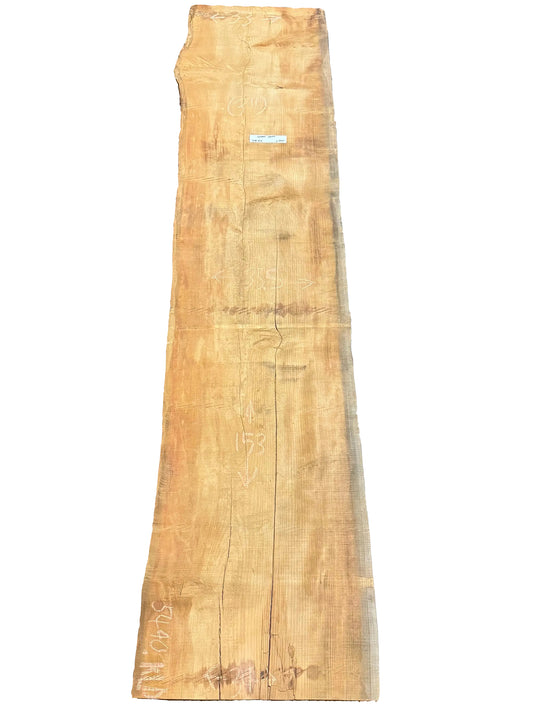 Deodar Cedar Live Edge Slab 5490.KLD