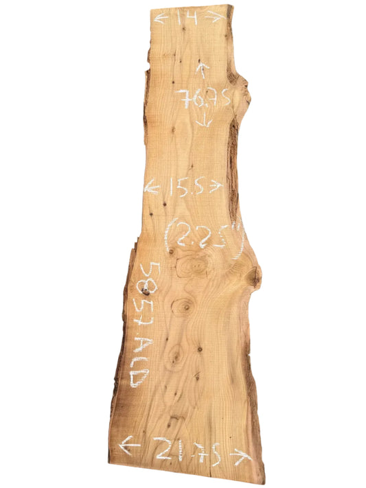 Deodar Cedar Live Edge Slab 5857.ALD