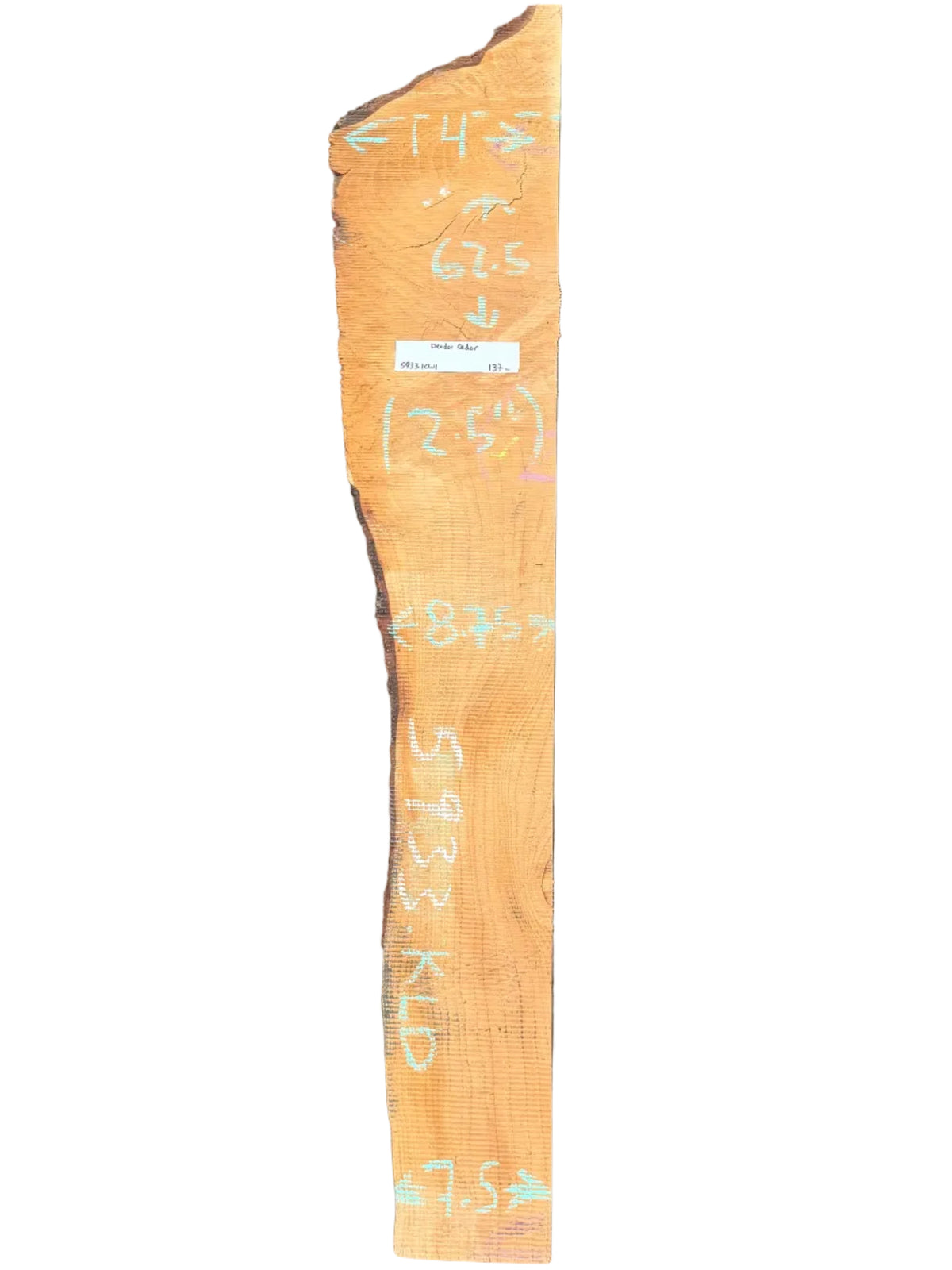 Deodar Cedar Live Edge Slab 5933.KLD