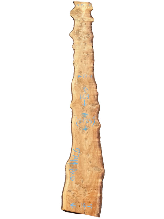 Deodar Cedar Live Edge Slab 5741.ALD