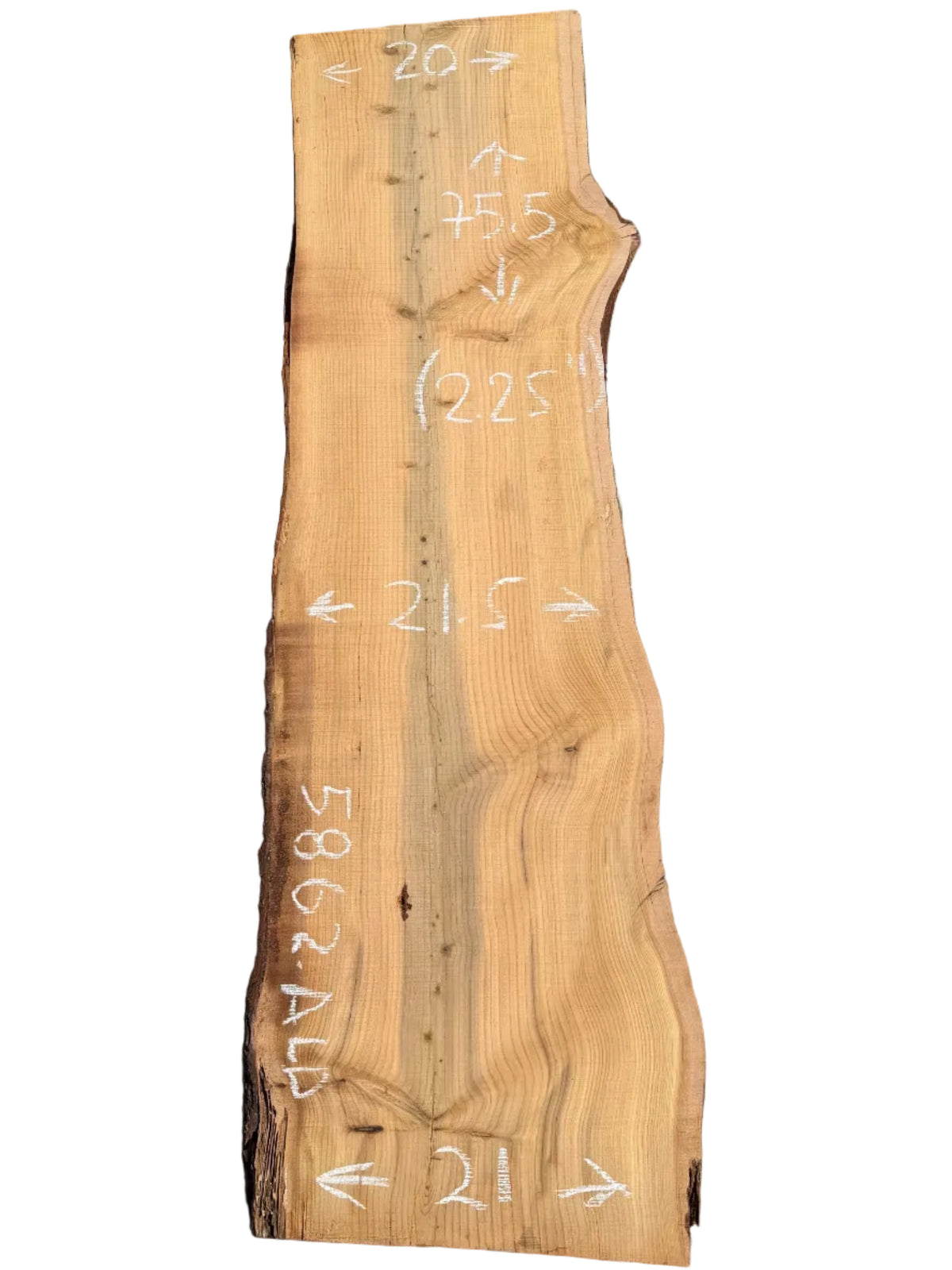 Deodar Cedar Live Edge Wood Slab 5862.ALD