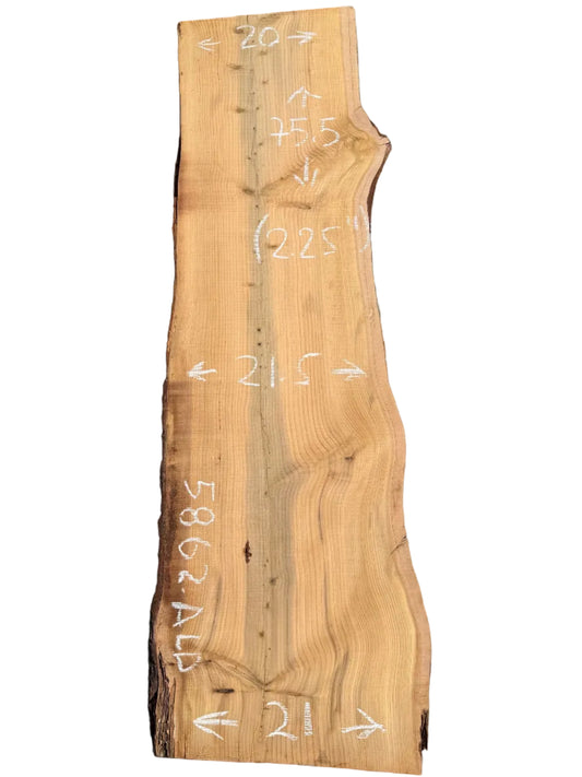 Deodar Cedar Live Edge Wood Slab 5862.ALD
