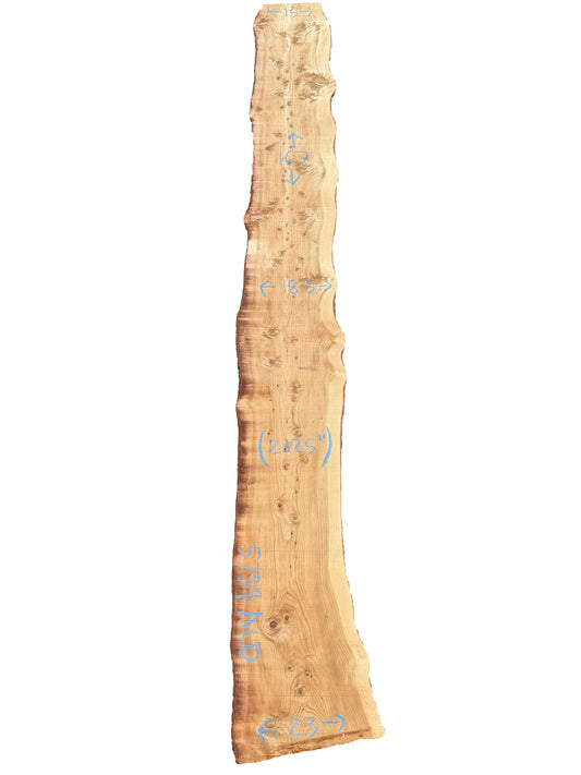 Deodar Cedar Live Edge Slab 5739.ALD