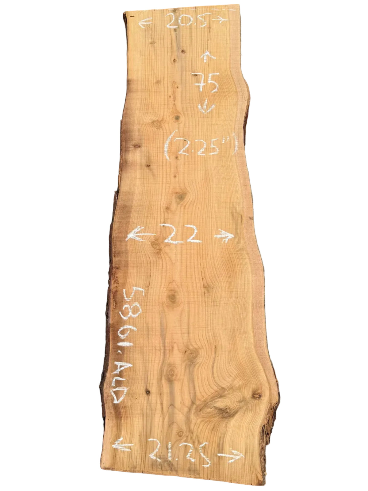Deodar Cedar Live Edge Slab 5861.ALD