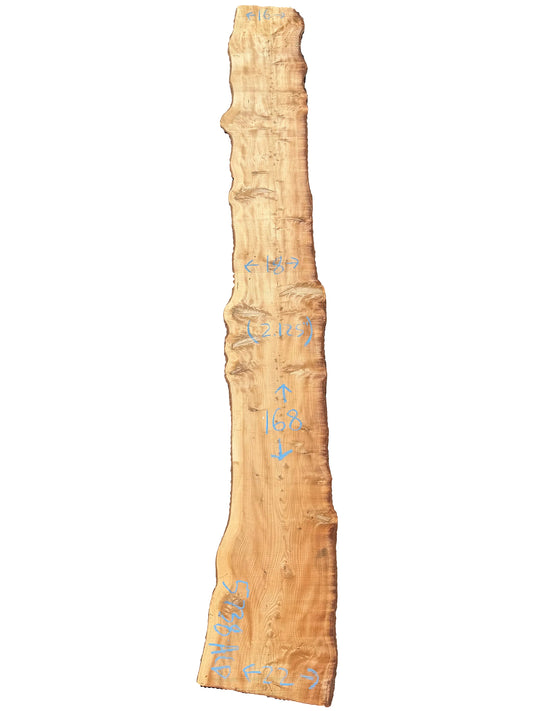 Deodar Cedar Live Edge Slab 5738.ALD