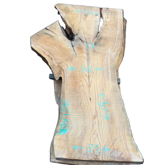 Deodar Cedar Live Edge Slab 3851.KLD