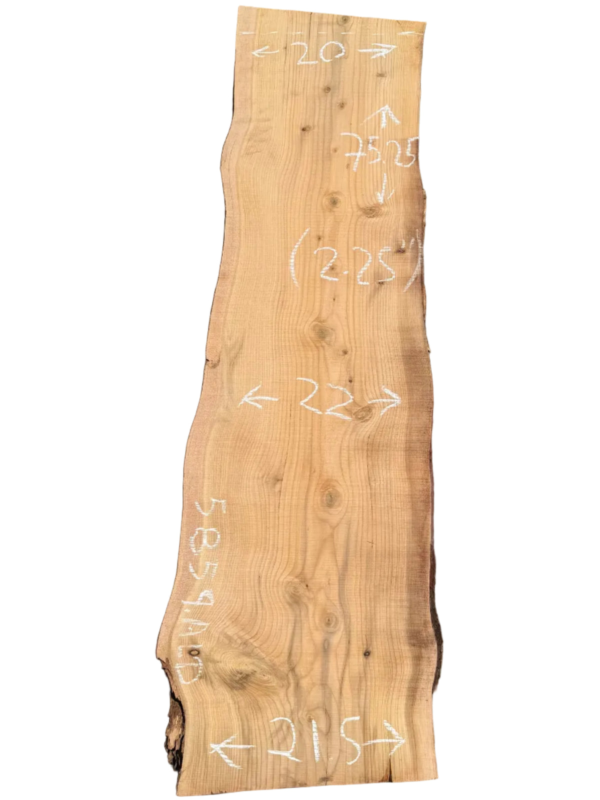 Deodar Cedar Live Edge Slab 5859.ALD