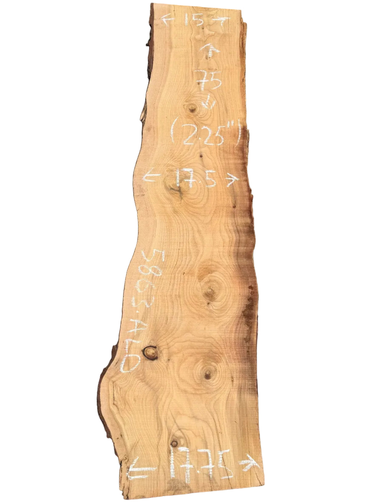 Deodar Cedar Live Edge Slab 5863.ALD
