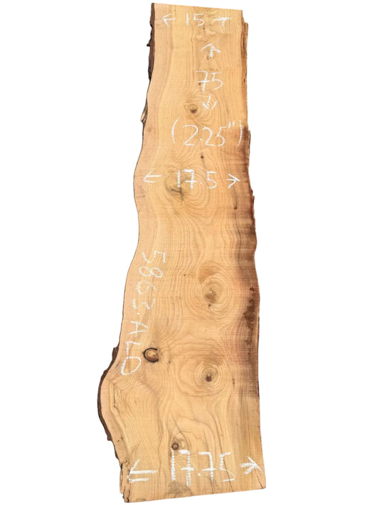 Deodar Cedar Live Edge Slab 5863.ALD