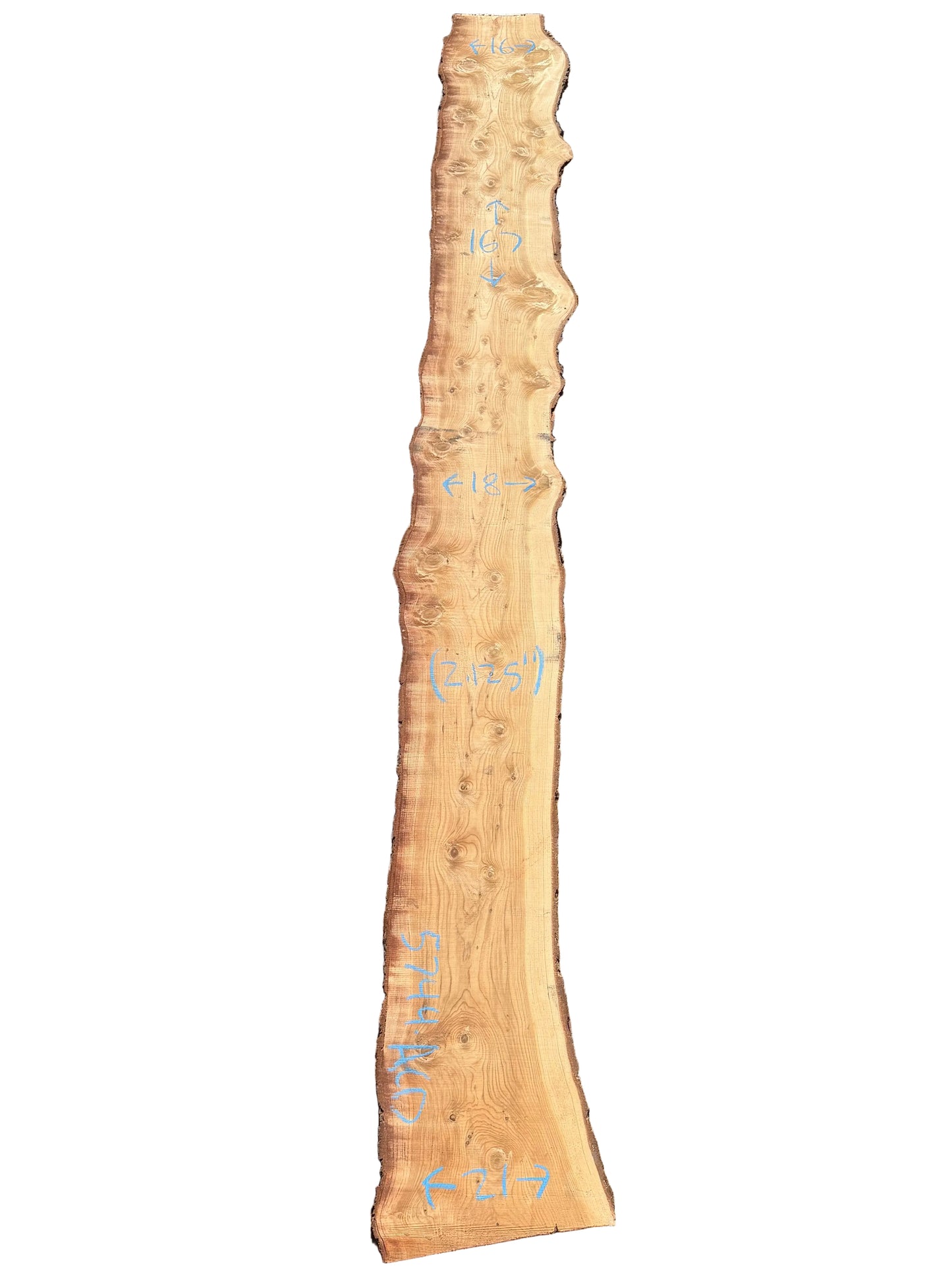 Deodar Cedar Live Edge Slab 5744.ALD