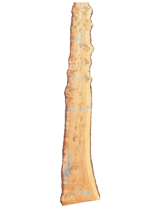 Deodar Cedar Live Edge Slab 5744.ALD