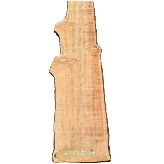 Deodar Cedar Live Edge Slab 4031.ALD