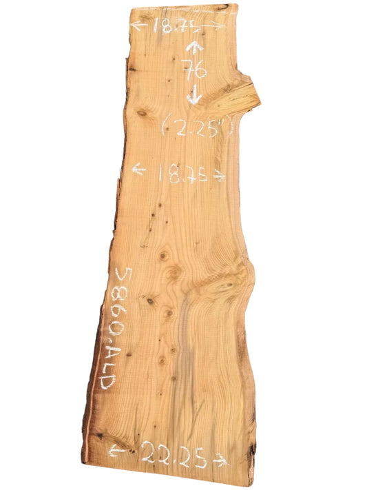 Deodar Cedar Live Edge Slab 5860.ALD