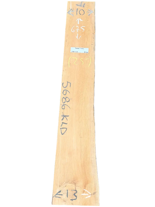 Deodar Cedar Live Edge Slab S2S 5686.KLD