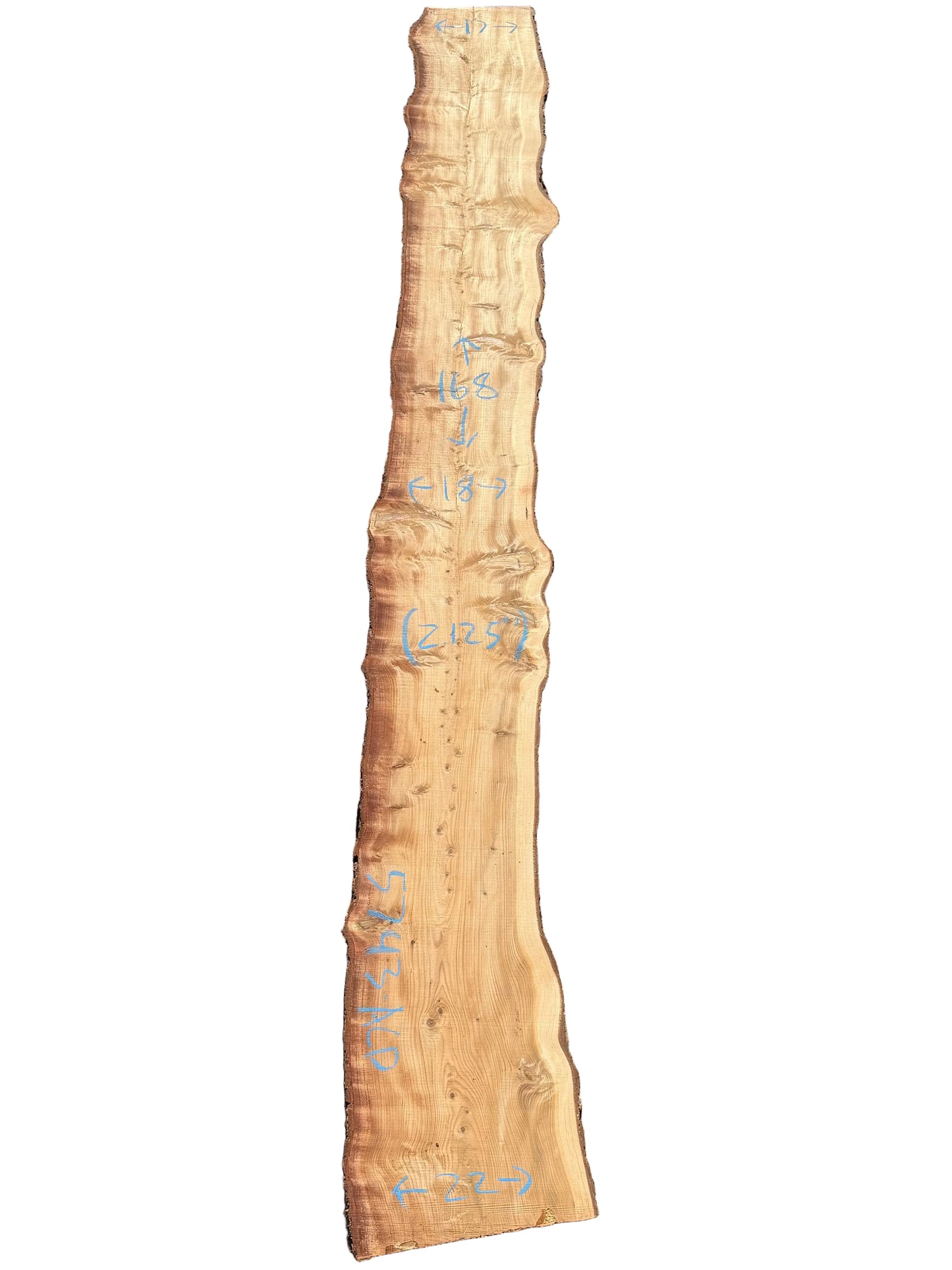 Deodar Cedar Live Edge Slab 5743.ALD