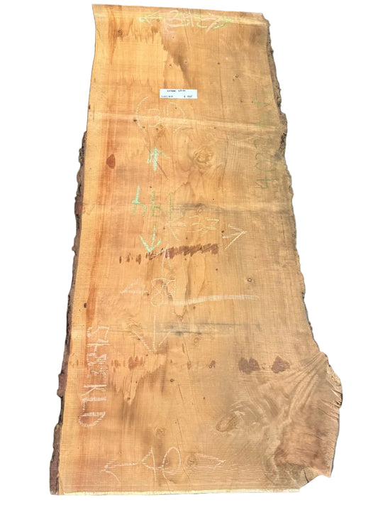Deodar Cedar Live Edge Slab 5483.KLD