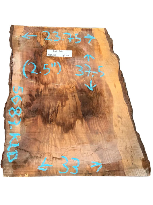 Deodar Cedar Live Edge Slab 5687.KLD