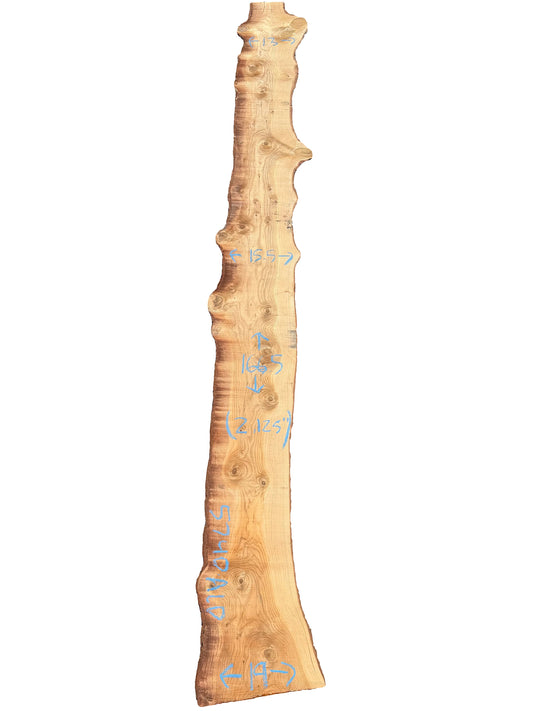 Deodar Cedar Live Edge Slab 5740.ALD