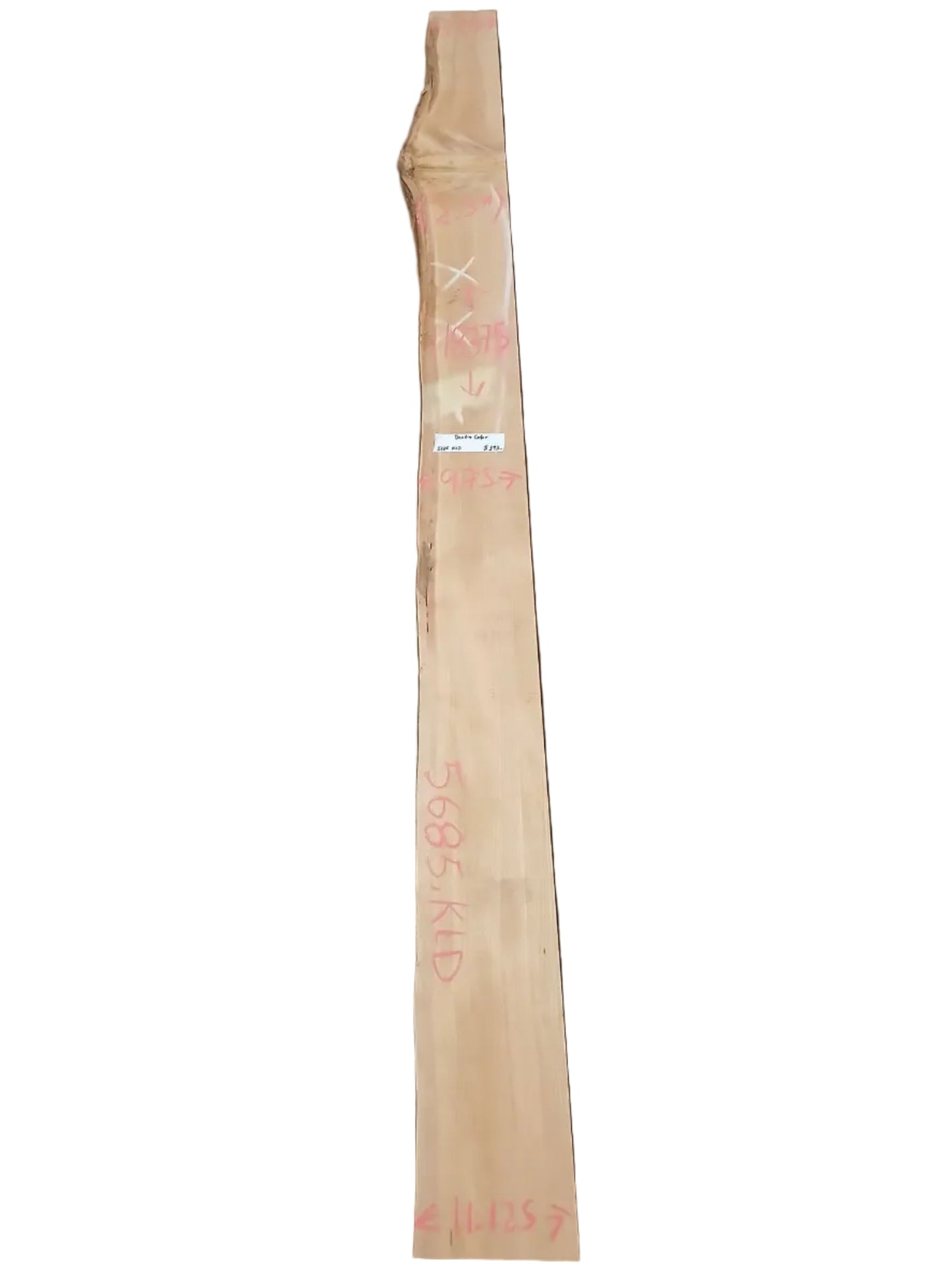 Deodar Cedar Live Edge Wood Slab 5685.KLD