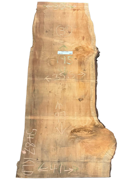 Deodar Cedar Live Edge Slab 5487.KLD