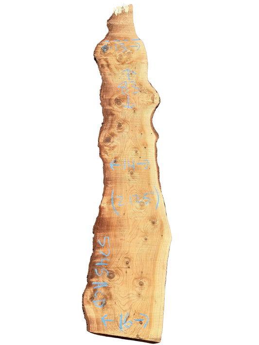 Deodar Cedar Live Edge Slab 5745.ALD