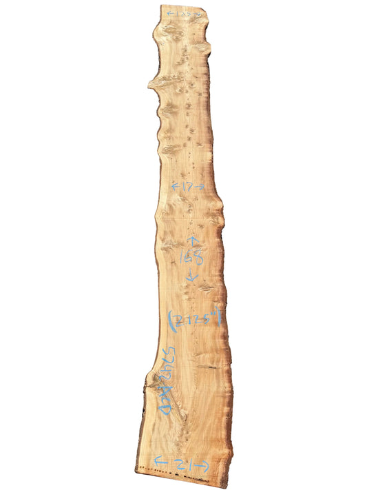 Deodar Cedar Live Edge Slab 5742.ALD