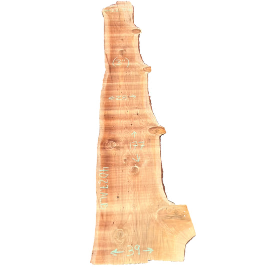 Deodar Cedar Live Edge Slab 4027.ALD