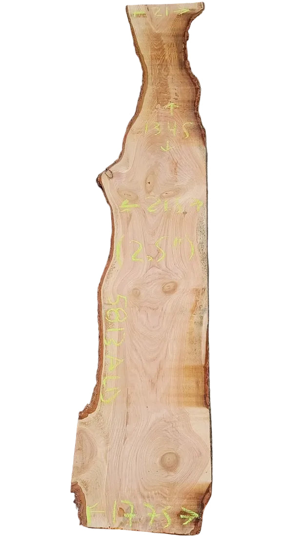 Douglas Fir Live Edge Wood Slab 5813.ALD