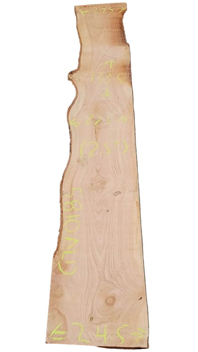 Douglas Fir Live Edge Slab 5810.ALD