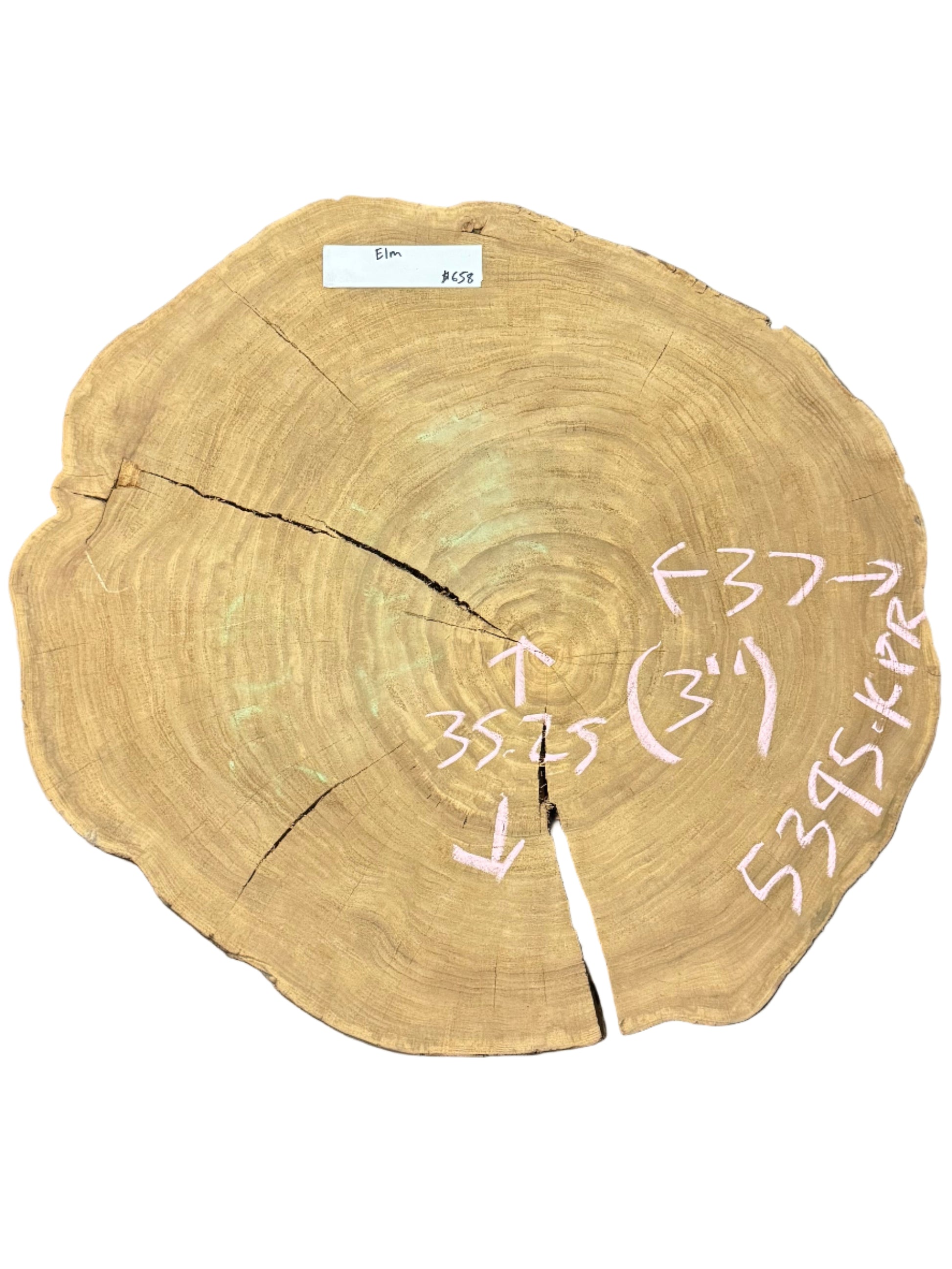 Elm cross cut cookie live edge slab