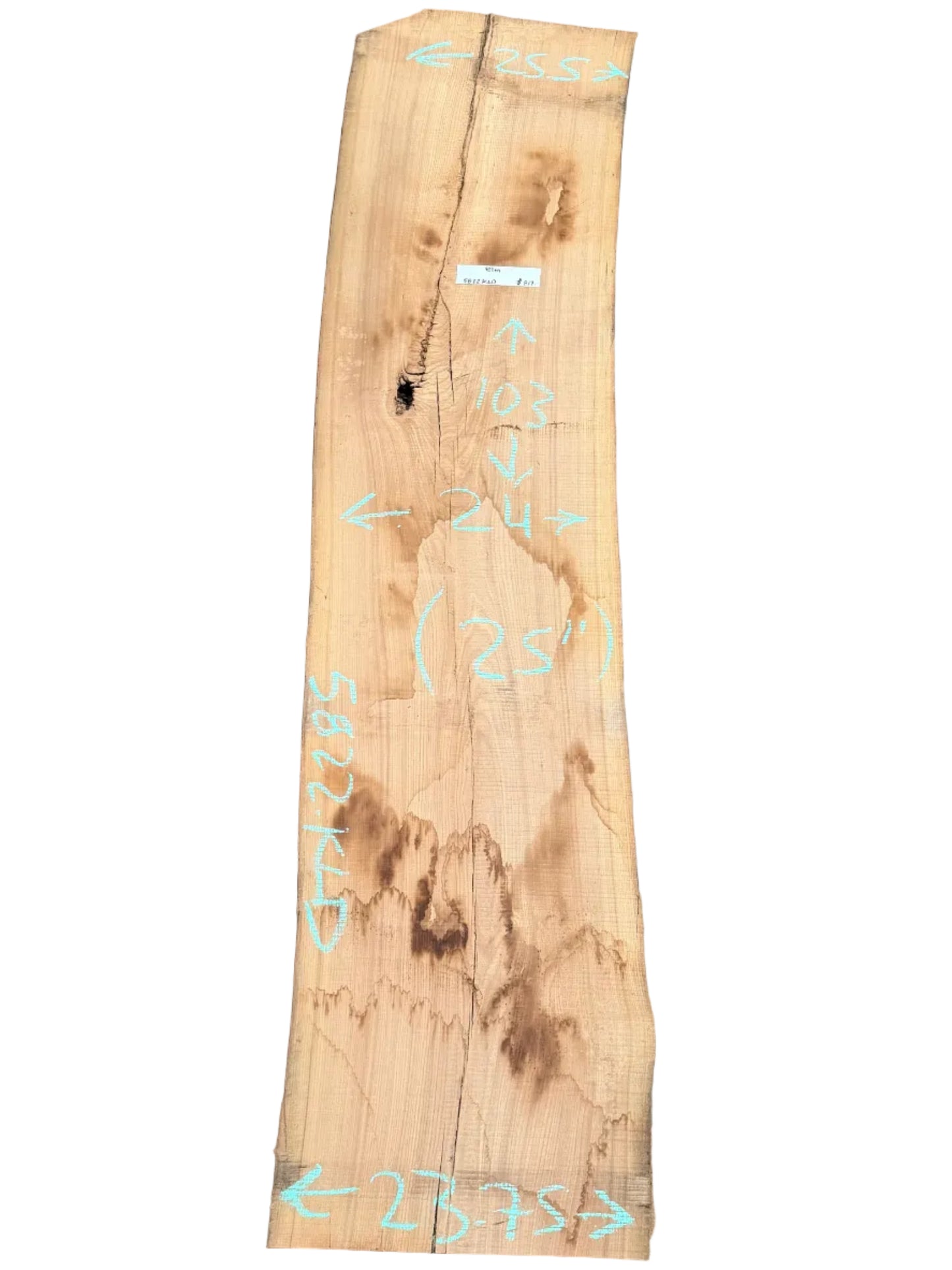 Elm Live Edge Slab 5822.KLD