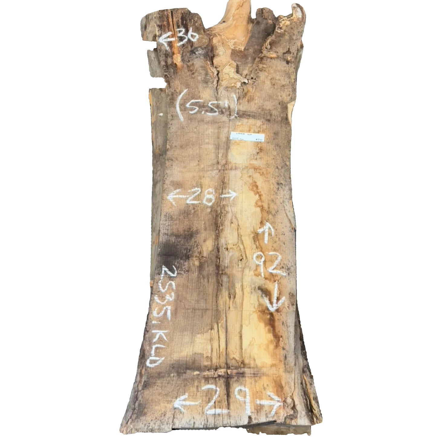 Siberian Elm Live Edge Slab 2535.KLD