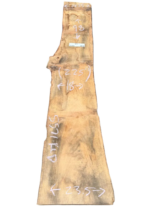 Elm Live Edge Slab 5571.KLD