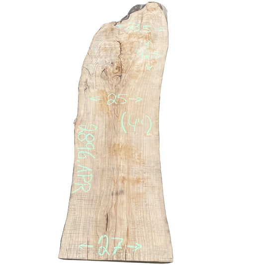 Elm Live Edge Slab 2896.APR
