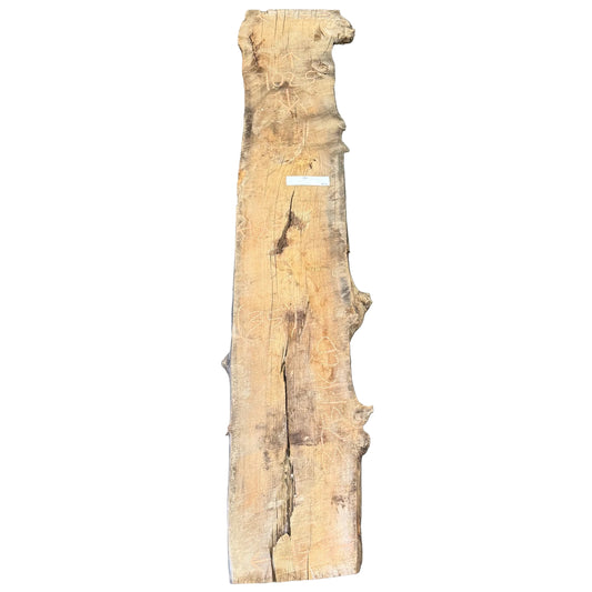 Elm Live Edge Slab 3731.KLD