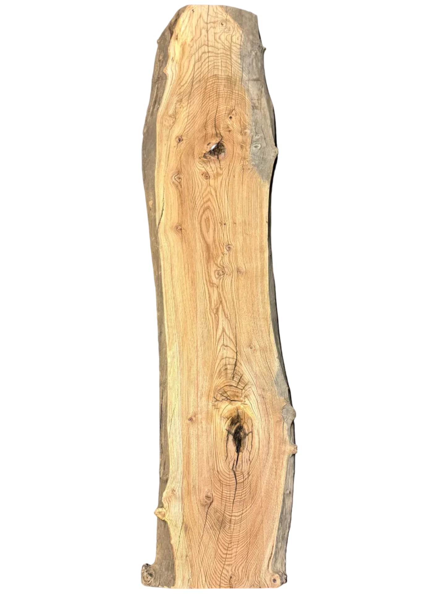 Elm Live Edge Slab S2S 5464.KPR