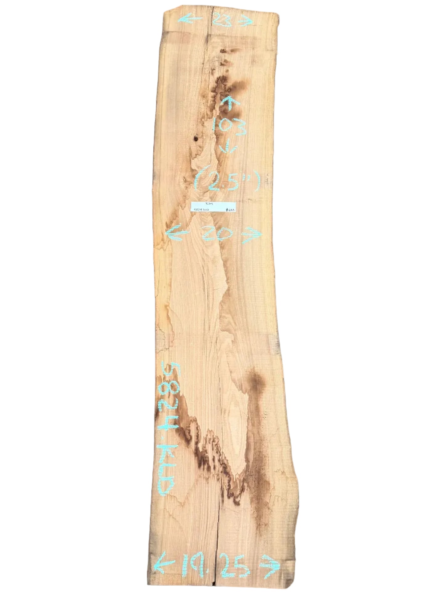 Elm Live Edge Slab 5824.KLD