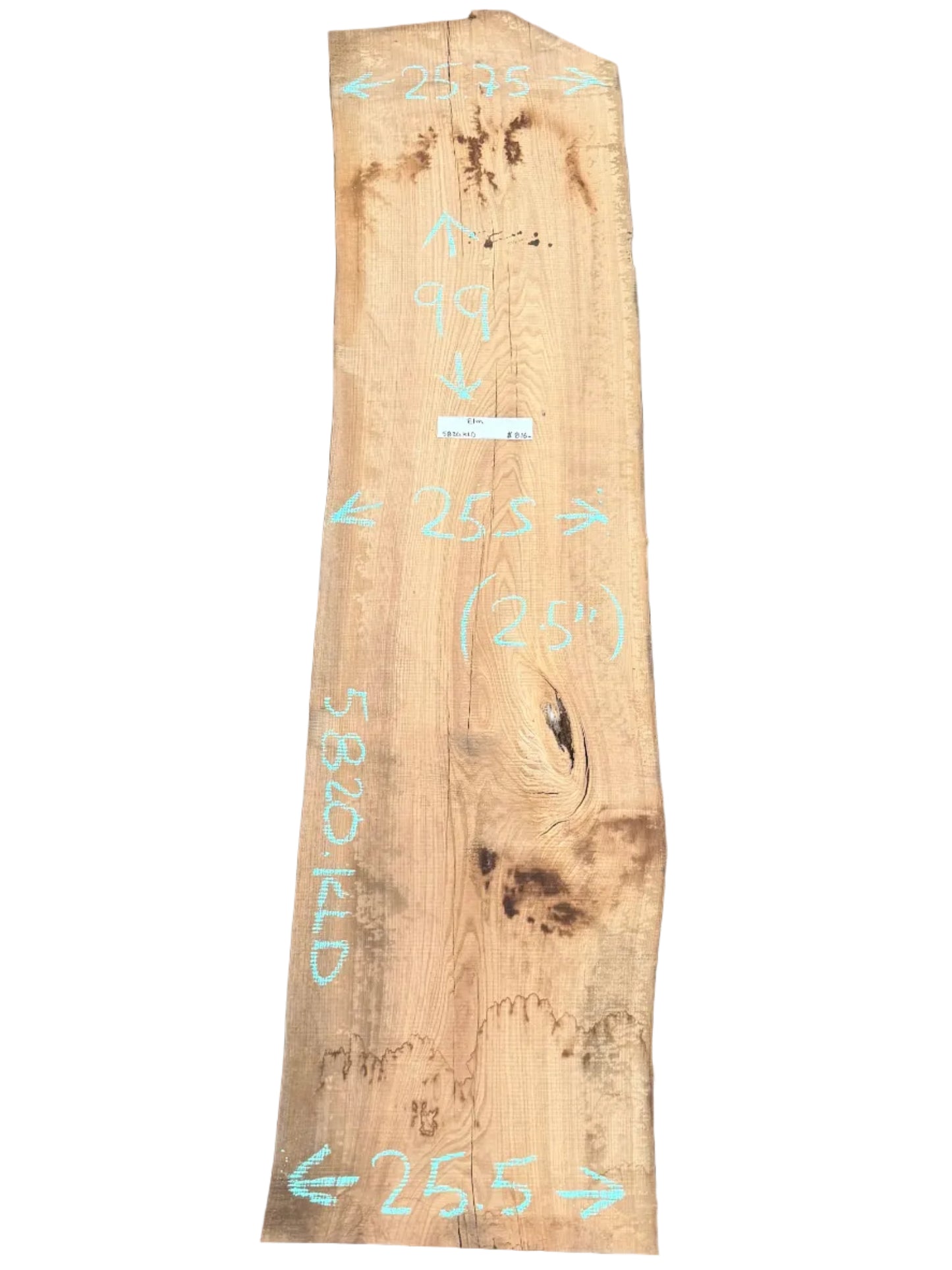 Elm Live Edge Slab 5820.KLD