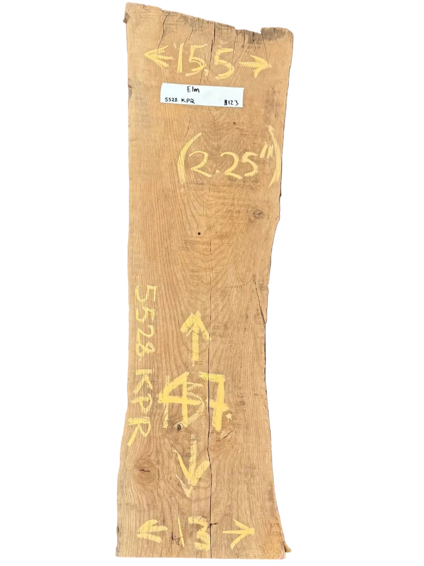 Elm Live Edge Wood Slab 5528.KPR