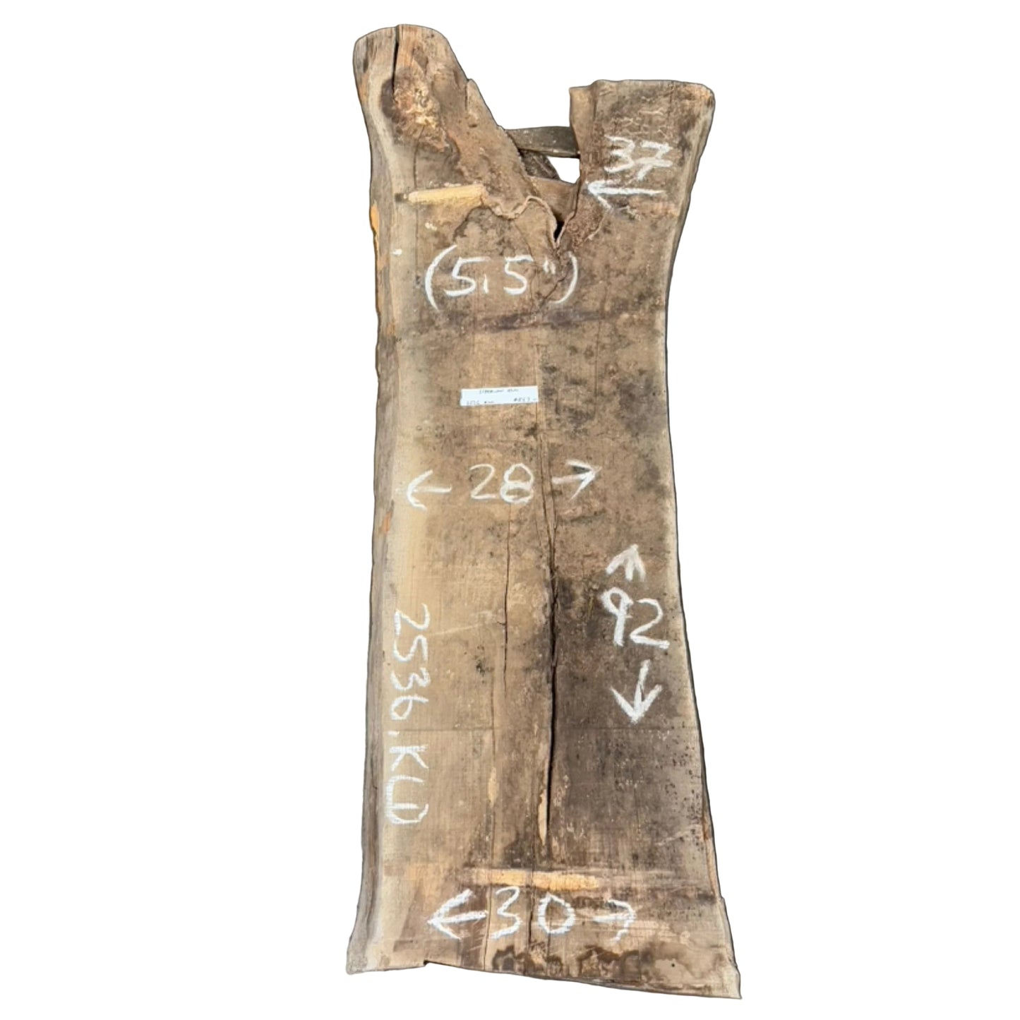 Siberian Elm Live Edge Slab 2536.KLD