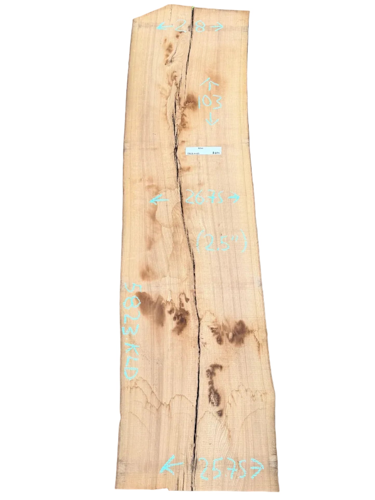 Elm Live Edge Slab 5823.KLD