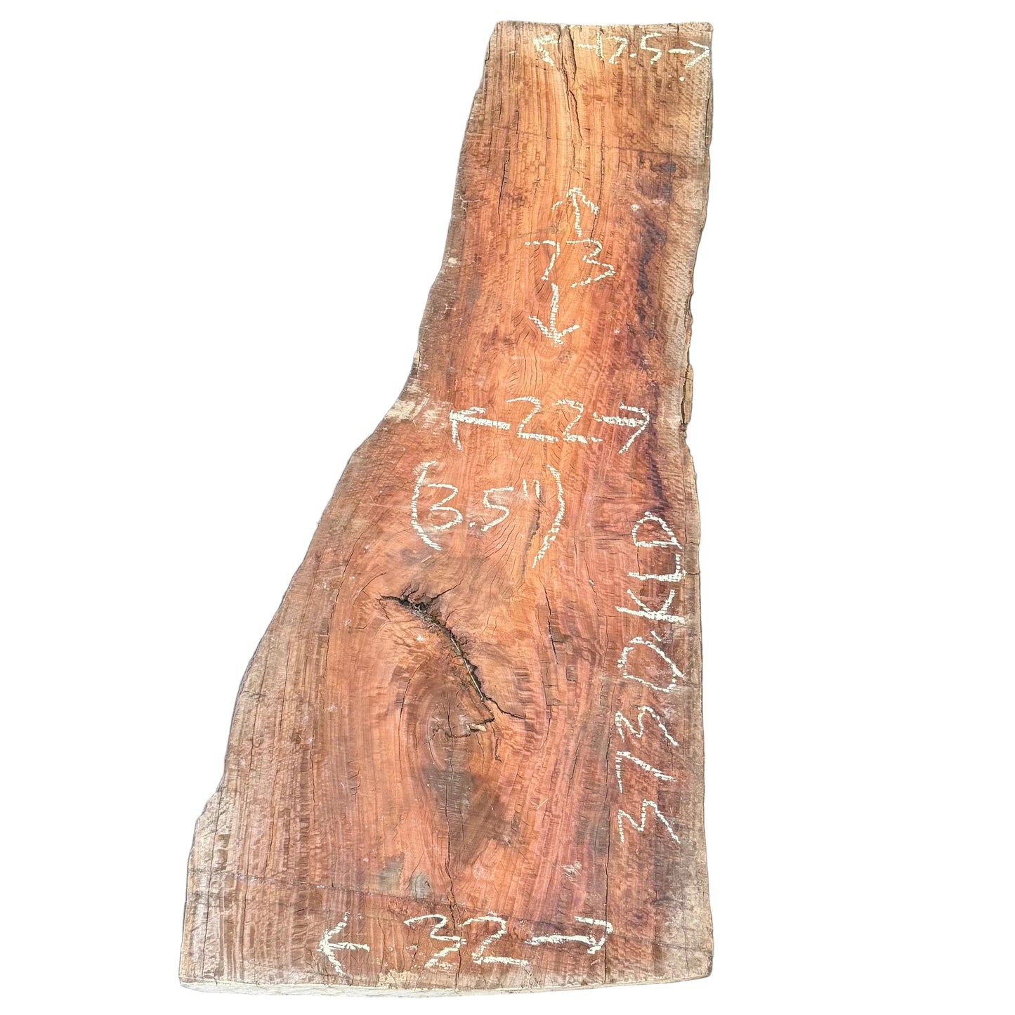 Eucalyptus Live Edge Slab 3730.KLD