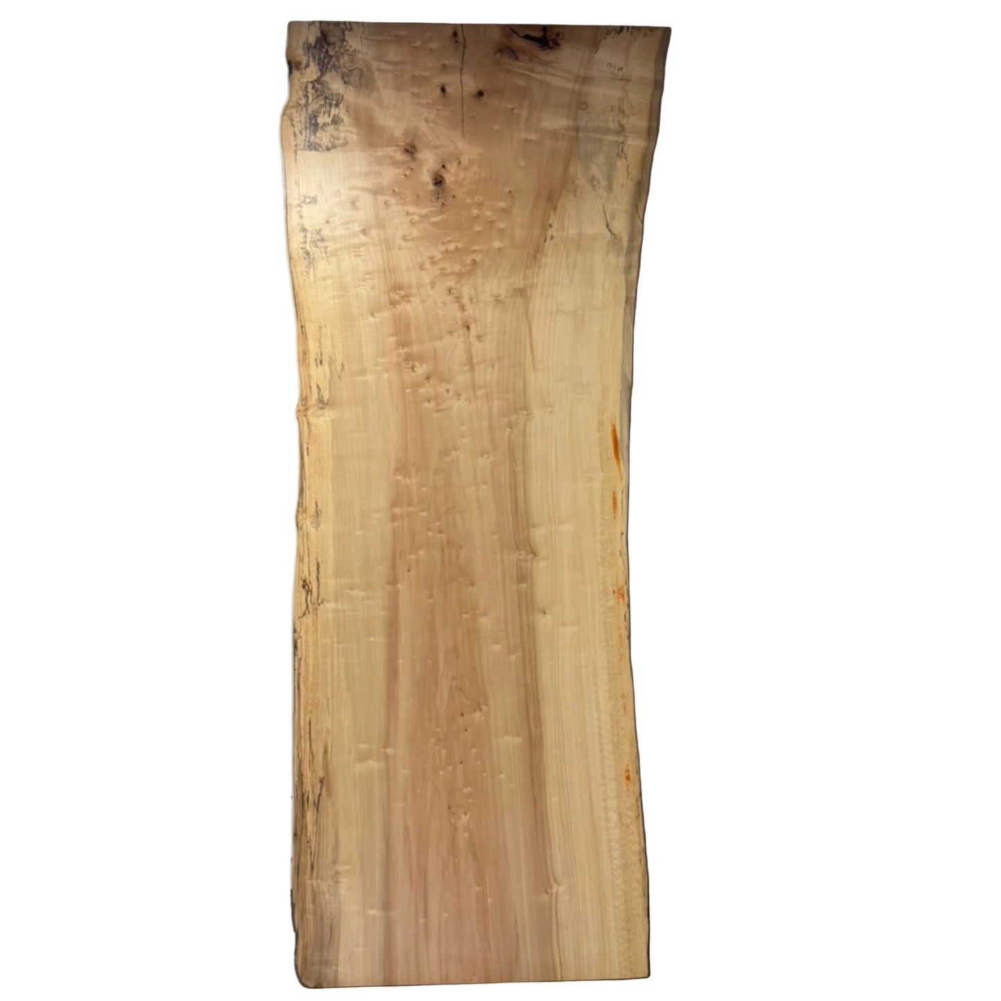 Finished Maple Live Edge Slab Table Top