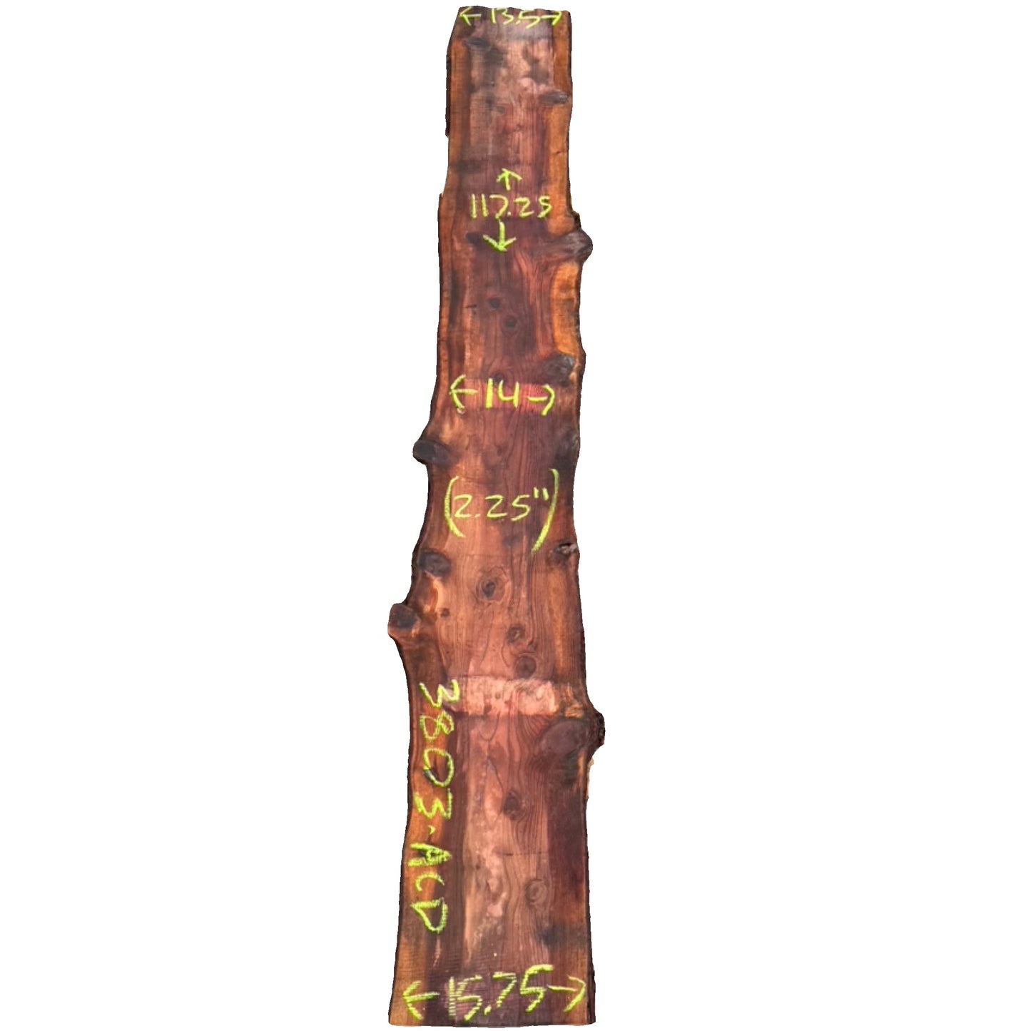 Giant Sequoia Live Edge Slab 3803.ALD