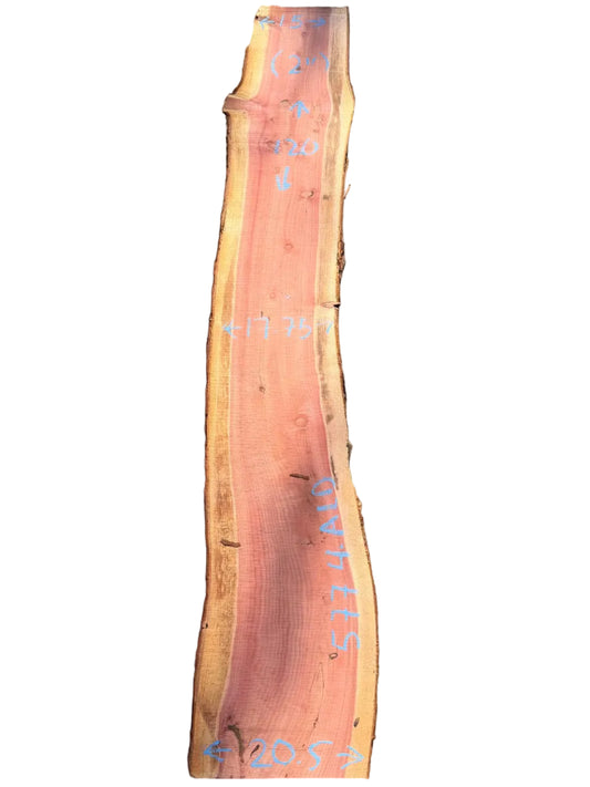 Giant Sequoia Live Edge Slab 5774.ALD